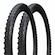 Par Pneu Aro 29 Arisun Mount Bona Skinwall 29 X 2.10 PRETO