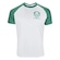 Camiseta Spr Palmeiras Dempsey - Masculina BRANCO/VERDE