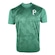 Camiseta Spr Palmeiras Gianniot - Masculina VERDE