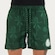 Bermuda Palmeiras Futfanatics Folhagem - Masculina VERDE