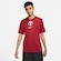Camisa Qatar Nike Torcedor Pro I 22/23 - Masculina VERDE/CINZA ESC