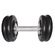 Dumbell IBJ Plastificado - 16Kg PRETO