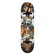 Skate Iniciante Wood Light Zombie SORTIDA