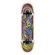 Skate Iniciante Wood Light Lizard Atack SORTIDA