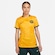 Camisa Austrália Nike I 2023/24 Torcedora Pro - Feminina AMARELO