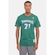 Camiseta Mitchell & Ness Especial Minnesota Timberwolves - Masculina VERDE