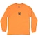 Camiseta Manga Longa Dc Shoes Minimal Stripe Wt23 - Masculina LARANJA