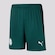 Calção do Palmeiras Ii 2023 Puma - Masculino VERDE