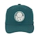 Boné do Palmeiras Aba Curva Supercap Símbolo Bordado Oficial - Snapback - Adulto VERDE