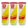 Kit Bolas de Tênis Wilson Championship Extra Duty - 3 Tubos - 9 Unidades AMARELO
