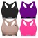 Kit Tops Puma Nadador sem Costura - 4 Unidades - Feminino ROSA/ROXO