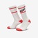 Kit de Meias Cano Alto Nike Everyday Plus Cush Crew - 2 Pares - Adulto CINZA CLA/LARANJ CLA
