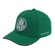 Boné Aba Curva Palmeiras Supercap Silk Frontal - Strapback - Adulto VERDE