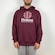 Blusão de Moletom com Capuz Element Vertical Colors - Masculino VINHO