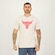 Camiseta Under Armour Project Rock Brahma Bull - Masculina CINZA