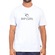 Camiseta Rip Curl Icon Palm Sm24 - Masculina BRANCO