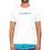 Camiseta Rip Curl New Icon Big Sm24 - Masculina OFF WHITE