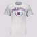 Camiseta Champion College Usa - Masculina CINZA