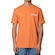 Camiseta Element Blazin Chest - Masculina LARANJA