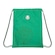 Gym Sack do Palmeiras Sestini Logo VERDE