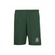 Bermuda do Palmeiras Torcedor Strong - Masculina VERDE