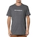 Camiseta Quiksilver New Omni - Masculina CINZA