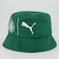 Bucket Puma Palmeiras Team - Adulto VERDE