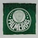 Almofada do Palmeiras Verdão Sude VERDE