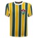 Camiseta do Fluminense Brasil Liga Retro - Masculina AMARELO/VERDE