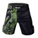 Bermuda Fightshort Venum Giant Classic 3.0 Florest - Masculina PRETO/VERDE