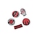 Kit Jibbitz Crocs Nba Toronto Raptors Pack Com 5 Peças BRANCO