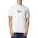 Camiseta Billabong Walled Iii - Masculina BRANCO