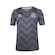 Camisa de Goleiro do Santos 2024 Umbro - Masculina CINZA
