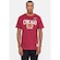 Camiseta Mitchell & Ness Collegiate - Masculina VINHO
