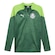 Camiseta Manga Longa Puma Palmeiras Fleece 2024 - Masculina VERDE
