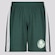 Calção Palmeiras Player Ii - Infantil VERDE