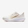 Tênis Nike Quest 6 - Feminino CINZA CLA/MARROM CLA