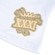 Camiseta New Era Regular Nfl Green Bay Packers Core - Masculina BRANCO