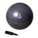 Bola Acte Gym Ball 45Cm Unissex T9-45C CINZA