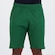 Bermuda Palmeiras Tradicional - Masculina VERDE