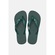 Chinelo Tropical Brasil Brasileiros - Unissex VERDE