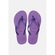 Chinelo Tropical Brasil Bi-Color Slim - Feminino ROXO