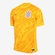 Camisa de Goleiro Nike Corinthians 2024/25 Torcedor Pro - Masculina AMARELO/PRETO