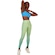 Calça Legging Alto Giro Degrade Feminina VERDE