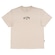 Camiseta Billabong Mid Arch Color Plus Size - Masculina CAQUI