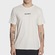 Camiseta Element Blazin Chest Center - Masculina BEGE
