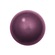 Bola de Ginástica Dicat Grd ROXO