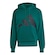 Blusão de Moletinho Capuz adidas Essentials Big Logo - Masculino VERDE