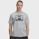 Camiseta Under Armour Boxed Sports - Masculina CINZA