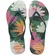 Chinelo Havaianas Slim Summer Bliss - Feminino VERDE